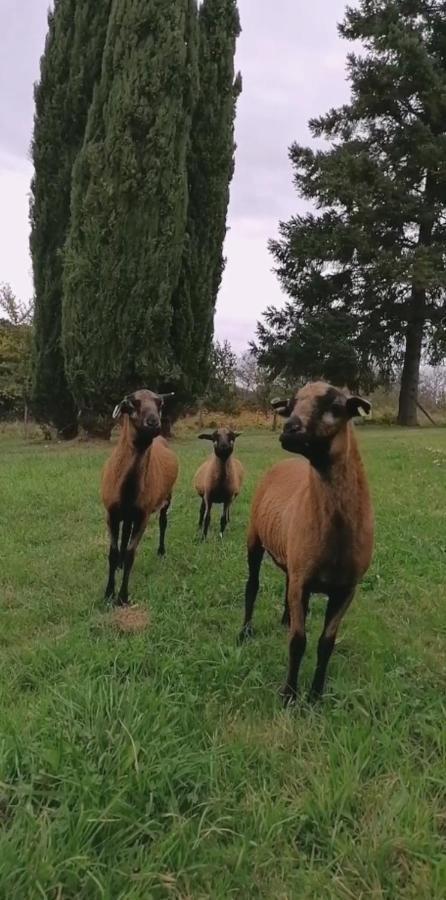 Hébergement de vacances Entre Perigueux Et Bergerac